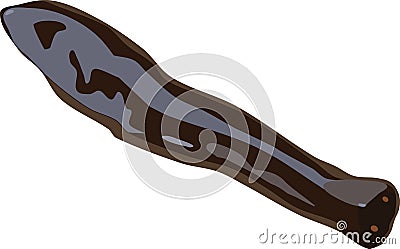 Planaria flatworm Vector Illustration